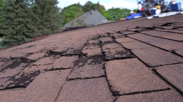 Best Roof Insulation Installation  in Lockland, OH